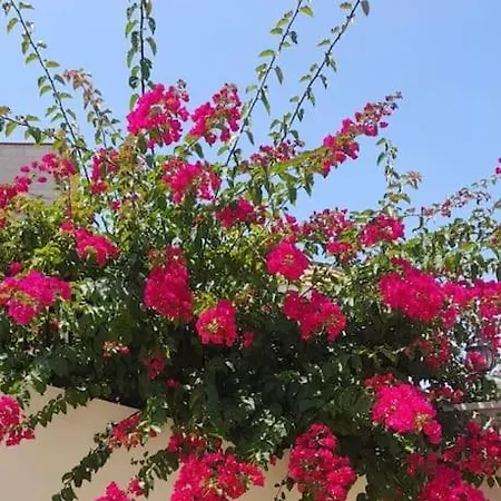 Comfortable And Relaxing House In Bonalba Casa vacanze Barrio Penacerrada